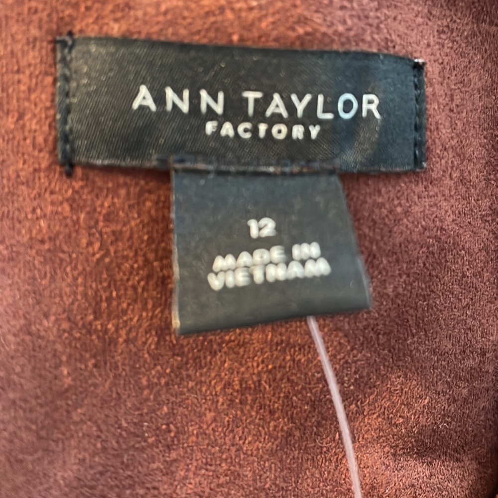 Ann Taylor Factory Faux Suede Jumper Dress - Picture 4 of 6